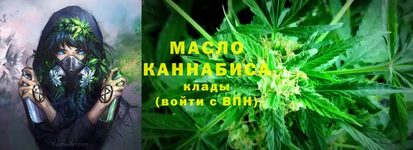 гидропоника Алзамай