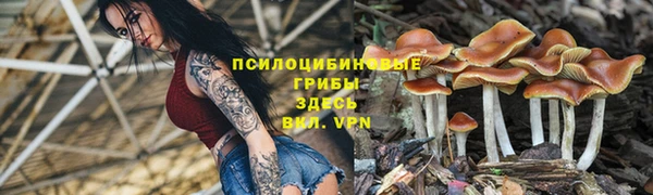 гидропоника Алзамай