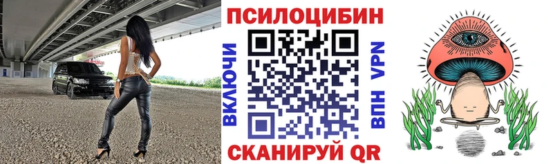 закладка  Касимов  Псилоцибиновые грибы MAGIC MUSHROOMS 